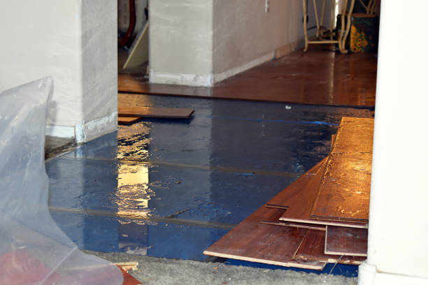 Professional Burst Pipe Cleanup technician working in Sargentville, ME